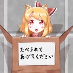  1girl animal_ears blonde_hair blush_stickers bow box cardboard_box cat_ears collar commentary for_adoption hair_bow in_box in_container kemonomimi_mode looking_at_viewer open_mouth red_eyes roco_(katsuya1011) rumia solo touhou translation_request 