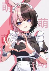  1girl animal_ears apron belt black_belt black_bow black_dress blush bow breasts brown_hair collar commentary_request dress earrings hana_s heart heart_hands highres jewelry large_breasts looking_to_the_side maid maid_headdress medium_hair metal_collar multicolored_hair open_mouth pink_hair signature solo split-color_hair tachibana_hinano_(vtuber) translation_request twitter_username two-tone_hair violet_eyes virtual_youtuber vspo! white_apron white_background white_wrist_cuffs wrist_cuffs 