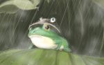  animal animalization frog hat leaf moriya_suwako moriya_suwako_(frog) rain retasu touhou 