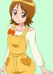  1girl brown_eyes brown_hair eyelashes green_background happinesscharge_precure! happy looking_at_viewer manji_(tenketsu) oomori_yuuko overalls precure shirt simple_background sketch smile solo 