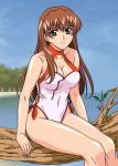  1girl brown_eyes brown_hair kasumi_(doa) one-piece_swimsuit rudoni sitting solo swimsuit 