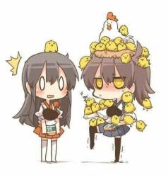 akagi_(kantai_collection) bird_on_head chick chicken chicken_on_head kaga_(kantai_collection) kantai_collection long_hair medium_hair multiple_girls standing_on_one_leg