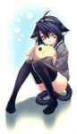  animal_ears animal_tail black_hair cat cat_ears girl loli nekomimi stockings tail yellow_eyes 