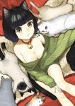  1girl ^_^ animal animal_ears bangs bare_legs bare_shoulders bell bell_collar black_hair blue_eyes blunt_bangs bob_cut breasts cat cat_ears cat_tail cleavage closed_eyes closed_mouth collar colored_eyelashes fingernails from_above frown fur_trim gradient_eyes green_eyes green_sweater hand_on_own_knee highres jingle_bell long_fingernails long_sleeves looking_at_viewer medium_breasts multicolored_eyes nail_polish naked_sweater off_shoulder original oversized_clothes sawaco_(sawaco520) short_hair signature sitting sleeves_past_wrists sweater tail yellow_eyes 
