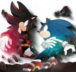  2boys face-to-face gloves multiple_boys naoko_(juvenile) no_humans shadow_the_hedgehog shoes sneakers sonic sonic_the_hedgehog 