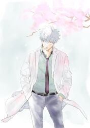  1boy absurdres belt bespectacled black_belt black_necktie black_pants cherry_blossoms cigarette coat collared_shirt commentary_request ghqjyu gintama glasses green_shirt grey_hair hands_in_pockets highres lapels layered_sleeves long_sleeves looking_at_viewer male_focus necktie notched_lapels open_collar outdoors pants sakata_gintoki shirt short_hair solo standing tree white_coat 