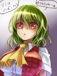  1girl ascot breasts bust green_hair kazami_yuuka large_breasts looking_at_viewer open_clothes open_vest red_eyes shaded_face shironeko_yuuki shirt solo touhou translation_request vest 