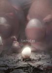  a-shacho blood chansey egg happiny highres no_humans pokemon pokemon_(creature) realistic 