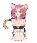  1girl animal_ears bare_shoulders breasts cleavage duizhang fangs highres love_live!_school_idol_project midriff navel nishikino_maki open_mouth pink_eyes redhead short_hair simple_background sketch solo tail tiger_ears tiger_tail white_background 