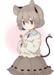  1girl akagashi_hagane animal_ears blush clover four-leaf_clover grey_hair mouse mouse_ears mouse_tail nazrin red_eyes short_hair tail touhou 