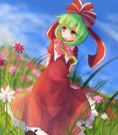  1girl arms_behind_back blue_sky bow clouds cloudy_sky dress field flower flower_field frilled_skirt frills front_ponytail green_eyes green_hair hair_bow hair_ribbon kagiyama_hina kanno_fumiroku long_hair open_mouth puffy_short_sleeves puffy_sleeves red_dress ribbon short_sleeves skirt sky smile solo touhou 