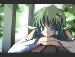  1girl bare_shoulders blue_eyes detached_sleeves frog green_hair hair_ornament kochiya_sanae long_hair shadow solo touhou yuzuhara902 