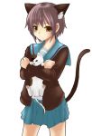  brown_eyes cardigan cat cat_ears chiko_(kanhogo) nagato_yuki nekomimi purple_hair school_uniform seifuku shamisen_(suzumiya_haruhi) short_hair skirt suzumiya_haruhi_no_yuuutsu uniform 