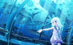  blue blue_eyes blue_hair bracelet fish hinasaki jewelry long_hair manta_ray original outstretched_arm school_uniform serafuku solo wallpaper water white_hair 