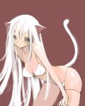  bikini cat_ears garter grey_eyes long_hair lowres nekomimi saibashi swimsuit tail white_hair 