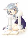  1girl blue_eyes book bow cat_ears dress franziska franziska_von_karma game gyakuten_saiban karuma_mei lowres nekomimi no_legwear phoenix_wright short_hair silver_hair solo 