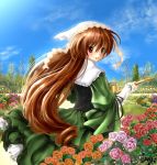  dress flower long_hair rozen_maiden sakura_monchi sky suiseiseki tree very_long_hair 
