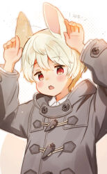  1boy animal_ears arms_up chinese_zodiac coat collared_shirt commentary_request cowboy_shot dated dot_nose double-parted_bangs far_tarooo grey_coat hair_between_eyes highres layered_sleeves long_sleeves looking_at_viewer male_focus open_mouth orange_eyes original rabbit_boy rabbit_ears rabbit_pose shirt solo teeth twitter_username upper_body upper_teeth_only white_hair white_shirt wing_collar year_of_the_rabbit 