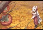  1girl bamboo blurry boots bow breath depth_of_field food from_above fruit fujiwara_no_mokou fuurin_(omaemona) hair_bow hair_ribbon long_hair looking_up open_mouth pants persimmon ribbon scarf silver_hair solo suspenders touhou tree very_long_hair 