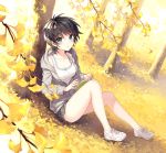  1girl bare_legs blue_eyes blush book breasts collarbone hoodie leaf looking_at_viewer nardack shoes short_hair shorts sitting sneakers solo tree 