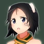  1girl animal_ears anime_coloring bandage_on_face bare_shoulders black_hair blue_eyes blush bust dog_ears face green_background kanno_naoe mikomiko_(mikomikosu) open_mouth scarf short_hair simple_background solo strike_witches 