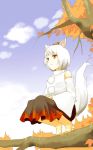  1girl animal_ears autumn autumn_leaves barefoot detached_sleeves full_body hands_together hat highres in_tree inubashiri_momiji kneeling leaf light_smile looking_away maple_leaf paw_print pom_pom_(clothes) red_eyes short_hair sitting sitting_in_tree skirt smile solo tail tokin_hat touhou tree tree_branch white_hair wolf_ears wolf_tail 