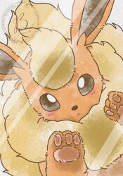  against_glass animal_focus baya_(sakura_mint) blush flareon fluffy glass highres looking_at_viewer neck_fur no_humans orange_fur parted_lips pawpads pokemon pokemon_(creature) pokemon_focus yellow_fur 