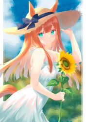  1girl absurdres alternate_costume animal_ears bare_shoulders blue_eyes blue_sky blunt_bangs blush breasts chickenbstrip closed_mouth clouds dress ears_through_headwear flower green_eyes hat highres horse_ears horse_girl horse_tail long_hair looking_at_viewer orange_hair outdoors silence_suzuka_(umamusume) sky sleeveless sleeveless_dress smile solo straw_hat sun_hat sundress sunflower tail umamusume white_dress 