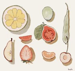  artist_name cherry fig food fruit ka_(996beshi) lemon lemon_slice mandarin_orange_slice no_humans original pear_slice signature still_life strawberry strawberry_slice 