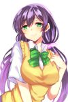  1girl breasts green_eyes large_breasts leaning_forward long_hair looking_at_viewer love_live!_school_idol_project purple_hair school_uniform short_sleeves sketch smile solo sweater_vest toujou_nozomi twintails white_blouse zonana 