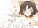 1girl animal_ears armpits bed black_hair blanket blue_eyes blush cat_ears collarbone hand_behind_head looking_at_viewer lying naked_blanket nude pillow_grab pole_(ppp1409) short_hair smile solo