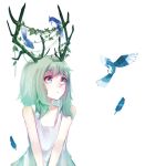  1girl antlers bird blue_eyes bluebird dress feathers green_hair gumi highres izumi4195202 leaf solo vines vocaloid 