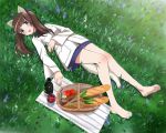  1girl alcohol animal_ears apple barefoot blue_eyes blush bread brown_hair celery cheese cup flower food from_above fruit georgette_lemare grass hair_ribbon kaneko_(novram58) long_hair looking_at_viewer lying military military_uniform open_mouth picnic picnic_basket ribbon solo strike_witches tail twintails uniform wine wine_bottle wine_glass 