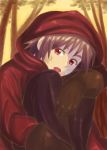  androgynous bandaid brown_hair cloak eyebrows forest gloves hood hooded_cloak looking_at_viewer nature open_mouth original red_eyes scratches short_hair sitting solo thick_eyebrows tree 