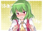  1girl ascot blush commentary_request green_hair hammer_(sunset_beach) kazami_yuuka looking_at_viewer plaid plaid_vest red_eyes short_hair solo tears touhou 
