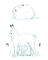  2023 7h3_rotka animal_focus arctic_hare black_eyes chinese_zodiac commentary_request dated ears_back korean_commentary motion_lines no_humans original rabbit simple_background standing white_background white_theme year_of_the_rabbit 