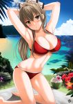  1girl amagi_brilliant_park bikini brown_eyes brown_hair long_hair ponytail sento_isuzu swimsuit wet xtermination 