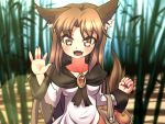  1girl animal_ears bamboo bamboo_forest blush breasts brooch brown_eyes brown_hair collarbone dress fangs fingernails food forest fruit happy holding_bag imaizumi_kagerou jewelry long_hair looking_at_viewer nail_polish nature open_mouth tail touhou wolf_ears wolf_tail 