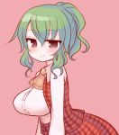  1girl alternate_hairstyle ascot blush breasts checkered checkered_skirt checkered_vest green_hair kazami_yuuka large_breasts marshmallow_mille ponytail red_background red_eyes skirt solo touhou 