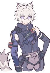  1boy :/ ahoge ammunition animal_ear_fluff animal_ears black_gloves cat_boy cat_ears cat_tail closed_mouth colored_tips commentary_request cowboy_shot crossed_bangs fluffy_tail gloves grey_pants hair_between_eyes hair_intakes hand_on_own_hip highres jacket looking_to_the_side male_focus multicolored_hair pants police police_badge police_uniform policeman seth_lowell short_hair simple_background single_bare_shoulder solo tail turtleneck turtleneck_jacket violet_eyes white_background white_hair white_tail zenless_zone_zero zipper zipper_pull_tab znz_00 