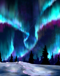  absurdres aurora chinese_commentary commentary_request forest highres n_(nnn2927) nature night original outdoors shooting_star sky sky_focus snow star_(sky) tree winter 