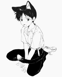 1boy animal_ears arms_between_legs belt blue_eyes blush cat_boy cat_ears cat_tail collared_shirt commentary_request full_body greyscale highres ikari_shinji m3gris3 male_focus monochrome neon_genesis_evangelion open_mouth pants pocket school_uniform shirt shirt_tucked_in shoes short_sleeves simple_background sitting solo spot_color sweat tail tokyo-3_middle_school_uniform wariza white_background 