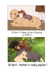 age_progression animal_ears dog horse_ears horse_girl multiple_girls short_hair umamusume