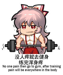  1girl barbell bilingual_text bow chibi chinese_text closed_mouth collared_shirt commentary_request dress_shirt english_text exercising fujiwara_no_mokou hair_between_eyes holding jokanhiyou light_frown long_hair looking_at_viewer mixed-language_text muscular muscular_female no_nose pants pink_hair red_bow red_eyes red_pants shirt short_sleeves solo suspenders sweatdrop touhou translation_request trembling very_long_hair weightlifting white_bow white_shirt 