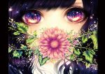  1girl bangs black_hair eyes flower flower_request leaf multicolored_eyes original ragi_(pluie) red_eyes solo violet_eyes yellow_eyes 