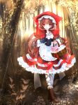  1girl brown_eyes brown_hair carrying forest highres himemurasaki little_red_riding_hood little_red_riding_hood_(grimm) long_hair nature original picnic_basket red_hood solo 