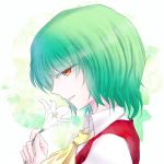  1girl ascot flower green_hair kazami_yuuka plaid plaid_vest red_eyes short_hair side_glance smile solo touhou 