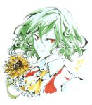  1girl ascot flower green_hair kazami_yuuka marker_(medium) plaid plaid_vest red_eyes short_hair skirt smile solo sunflower touhou traditional_media tsubameyado 