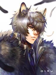  1boy animal_ears arknights black_feathers black_jacket black_necktie blue_necktie brown_eyes commentary_request feathers fur_trim grey_hair hair_over_one_eye highres jacket kittika_thaworn leopard_ears male_focus necktie shirt short_hair silverash_(arknights) simple_background solo upper_body white_background white_shirt 