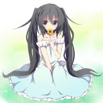  1girl amano_kouki bare_shoulders black_hair blue_dress brown_eyes collarbone detached_sleeves dress flower holding long_hair looking_at_viewer note-chan original sitting solo twintails 